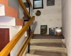 Casa individuala retrasa, Andrei Muresanu