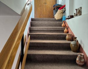 Casa individuala retrasa, Andrei Muresanu