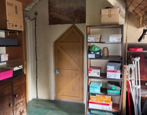 Casa individuala retrasa, Andrei Muresanu