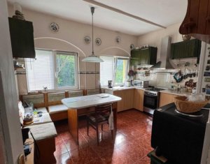 Casa individuala retrasa, Andrei Muresanu