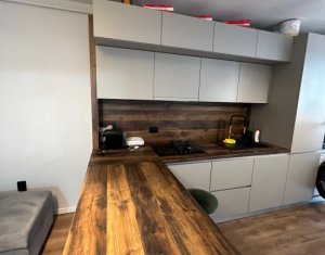 Appartement 2 chambres à louer dans Floresti