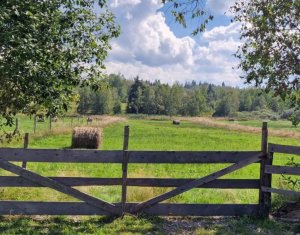 Terrain à vendre dans Dealu Negru