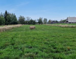 Terrain à vendre dans Dealu Negru