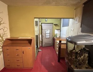 Appartement 1 chambres à vendre dans Cluj-napoca, zone Centru