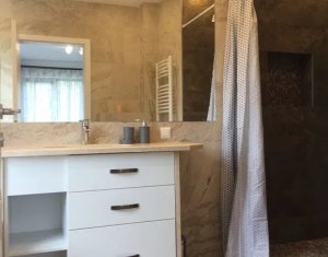 Maison 4 chambres à louer dans Cluj-napoca, zone Borhanci