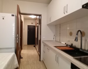 Appartement 1 chambres à louer dans Cluj-napoca, zone Centru