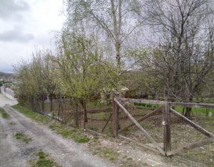 , 803m2 dans Salicea