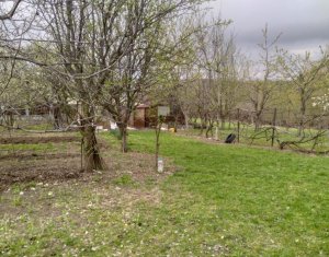 Land for sale in Salicea