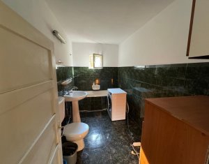 Ház 3 szobák kiadó on Cluj-napoca, Zóna Grigorescu