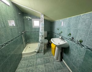 Ház 3 szobák kiadó on Cluj-napoca, Zóna Grigorescu