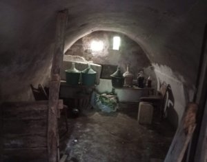 Maison 3 chambres à vendre dans Dumbrava