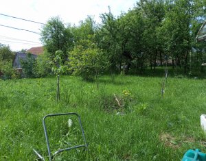 Maison 3 chambres à vendre dans Dumbrava