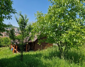 Terrain à vendre dans Cluj-napoca, zone Zorilor