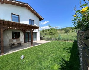 Ház 4 szobák kiadó on Cluj-napoca, Zóna Borhanci