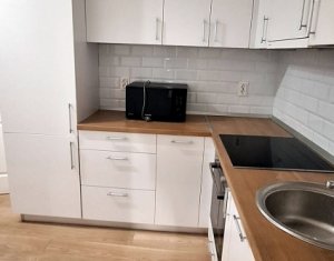 Appartement 1 chambres à louer dans Cluj-napoca, zone Centru