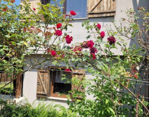 Casa ultrafinisata in mijlocul naturii, gradina amenajata, Gilau