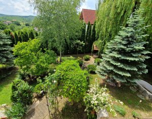 Maison 4 chambres à vendre dans Cluj-napoca, zone Borhanci