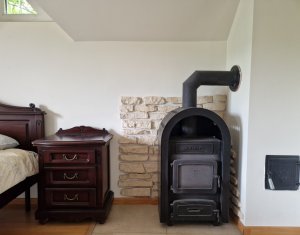 Maison 4 chambres à vendre dans Cluj-napoca, zone Borhanci