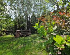 Maison 4 chambres à vendre dans Cluj-napoca, zone Borhanci