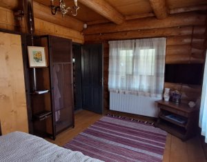 Inchiriere vila de lux, Campenesti dotari de exceptie