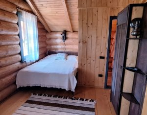 Inchiriere vila de lux, Campenesti dotari de exceptie