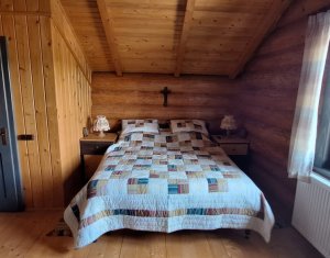 Inchiriere vila de lux, Campenesti dotari de exceptie