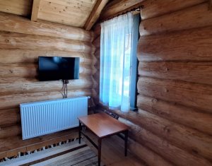 Inchiriere vila de lux, Campenesti dotari de exceptie