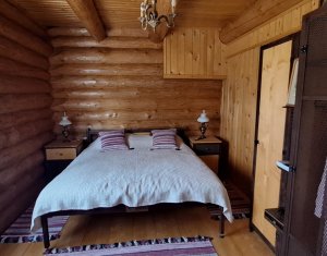 Inchiriere vila de lux, Campenesti dotari de exceptie