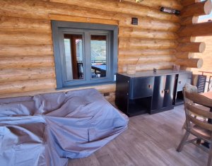 Inchiriere vila de lux, Campenesti dotari de exceptie