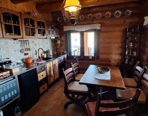 Inchiriere vila de lux, Campenesti dotari de exceptie