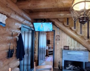 Inchiriere vila de lux, Campenesti dotari de exceptie