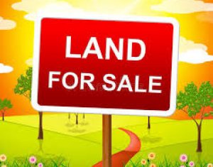 , 615m2 on Cluj-napoca, Zóna Buna Ziua