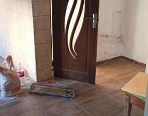 Apartament, 39 mp, finisat, la curte comuna, Dambul Rotund