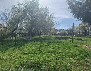 Maison 2 chambres à vendre dans Chinteni