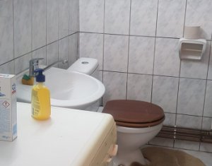 Maison 2 chambres à vendre dans Chinteni