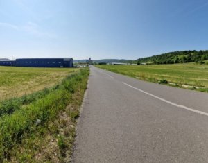 , 5000m2 dans Cluj-napoca