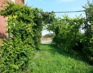 Casa renovabila , teren 1526 mp, front la doua strazi, Juc Herghelie