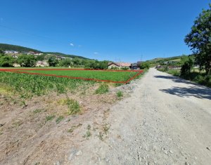 Teren intravilan 2000 mp – Popesti (Baciu) Ideal pentru casă, grădină și livada