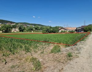 Teren intravilan 2000 mp – Popesti (Baciu) Ideal pentru casă, grădină și livada