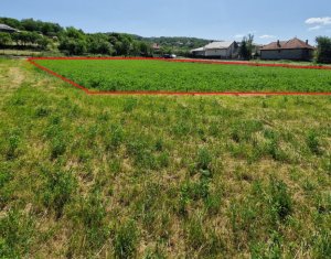 Teren intravilan 2000 mp – Popesti (Baciu) Ideal pentru casă, grădină și livada