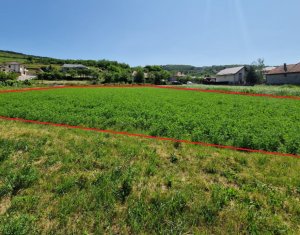 Teren intravilan 2000 mp – Popesti (Baciu) Ideal pentru casă, grădină și livada