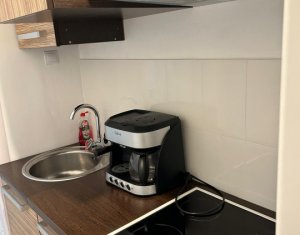 Maison 2 chambres à louer dans Cluj-napoca