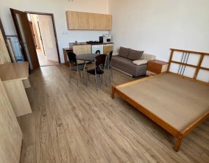 Appartement 1 chambres à louer dans Cluj-napoca, zone Centru