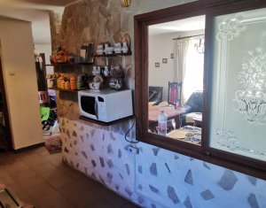 Casa individuala cu gradina frumoasa, teren mare Moldovenesti-Cluj