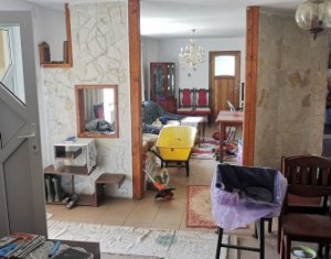 Casa individuala cu gradina frumoasa, teren mare Moldovenesti-Cluj