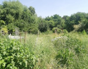 Casa individuala cu gradina frumoasa, teren mare Moldovenesti-Cluj