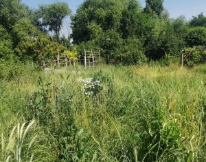 Casa individuala cu gradina frumoasa, teren mare Moldovenesti-Cluj