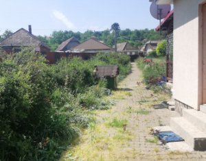 Casa individuala cu gradina frumoasa, teren mare Moldovenesti-Cluj