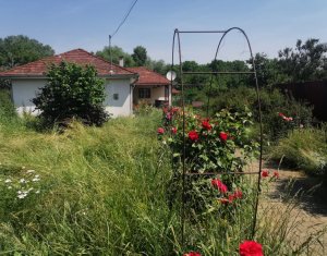 Casa individuala cu gradina frumoasa, teren mare Moldovenesti-Cluj