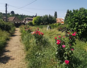 Casa individuala cu gradina frumoasa, teren mare Moldovenesti-Cluj